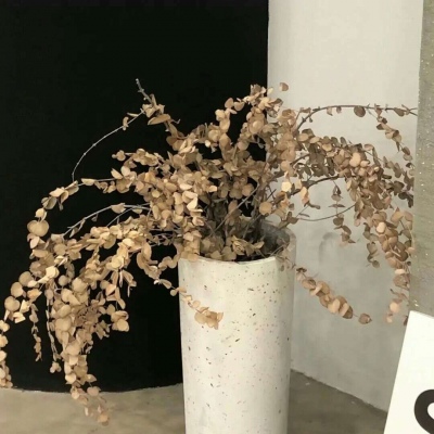 Furry插画笔刷运用Furry群